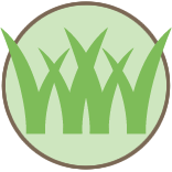 Lawn Overgrowth Cleanup Pros