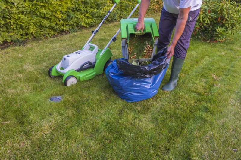 Contact About Lawn Overgrowth Cleanup