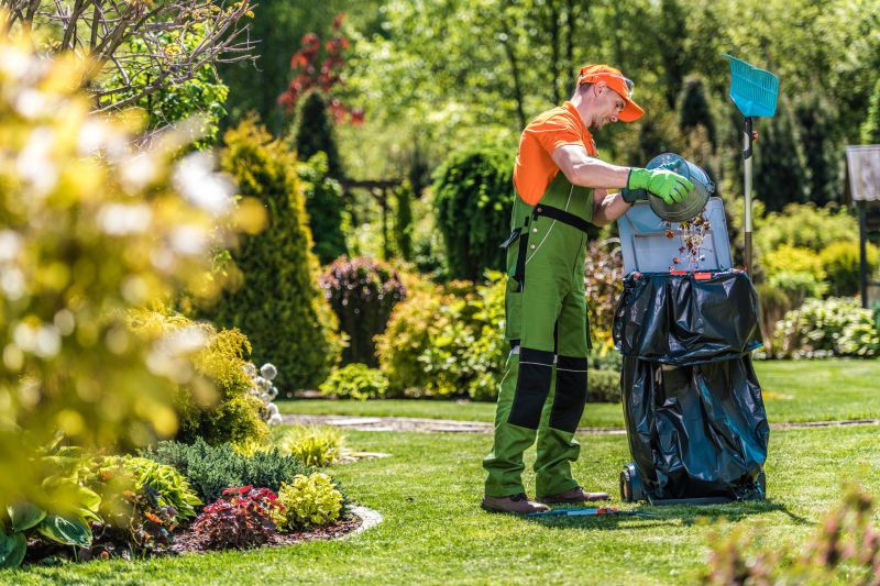 Lawn Overgrowth Cleanup