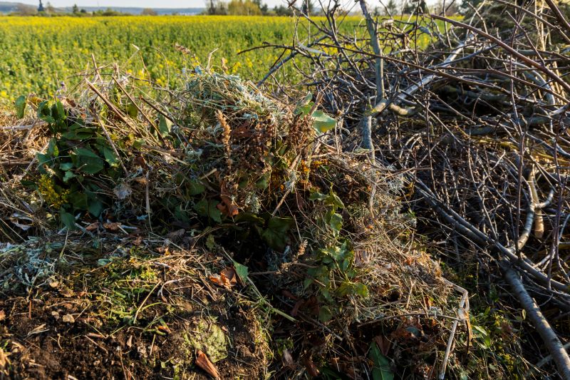 Debris and Waste Disposal