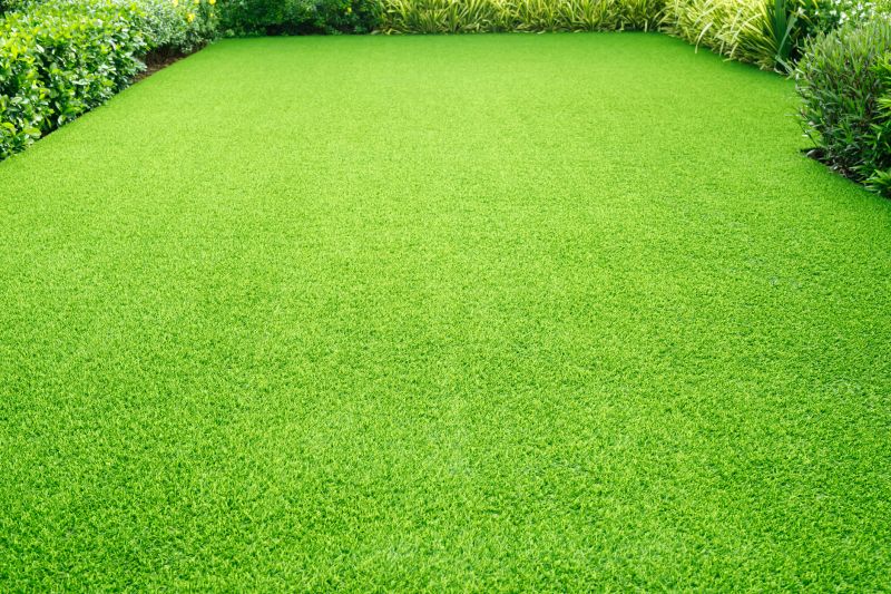 Lawn After Restoration